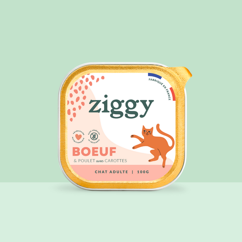 Barquette de 100g de pâtées Ziggy pour chat adulte au boeuf, saines et sans céréales