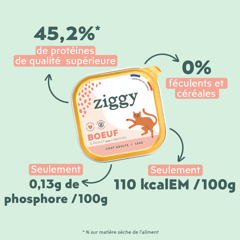 Ingrédients de la pâtée Ziggy pour chat entier au boeuf, saine et sans amidon