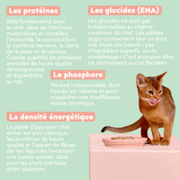 Composition analytique de la pâtée Ziggy pour chat entier au boeuf, saine et sans amidon