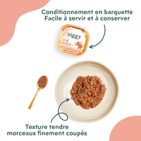 Conditionnement et texture de la pâtée Ziggy pour chat entier au boeuf, saine et sans amidon