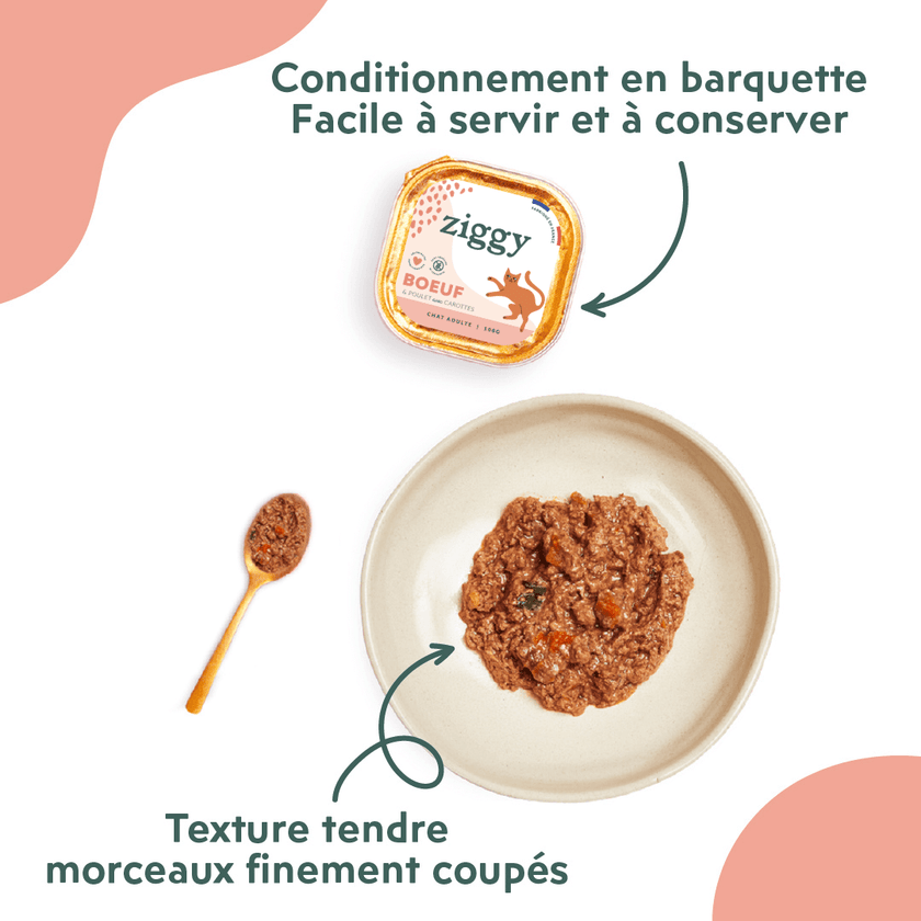 Conditionnement et texture de la pâtée Ziggy pour chat entier au boeuf, saine et sans amidon