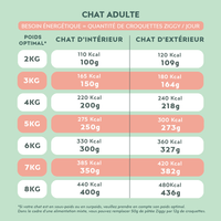 Quantité par jour à donner à son chat entier de la pâtée Ziggy pour chat adulte au boeuf, saine et sans amidon, en fonction de son besoin énergétique