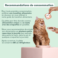 Recommandations de consommation de la pâtée Ziggy pour chat adulte entier au boeuf, saine et sans amidon