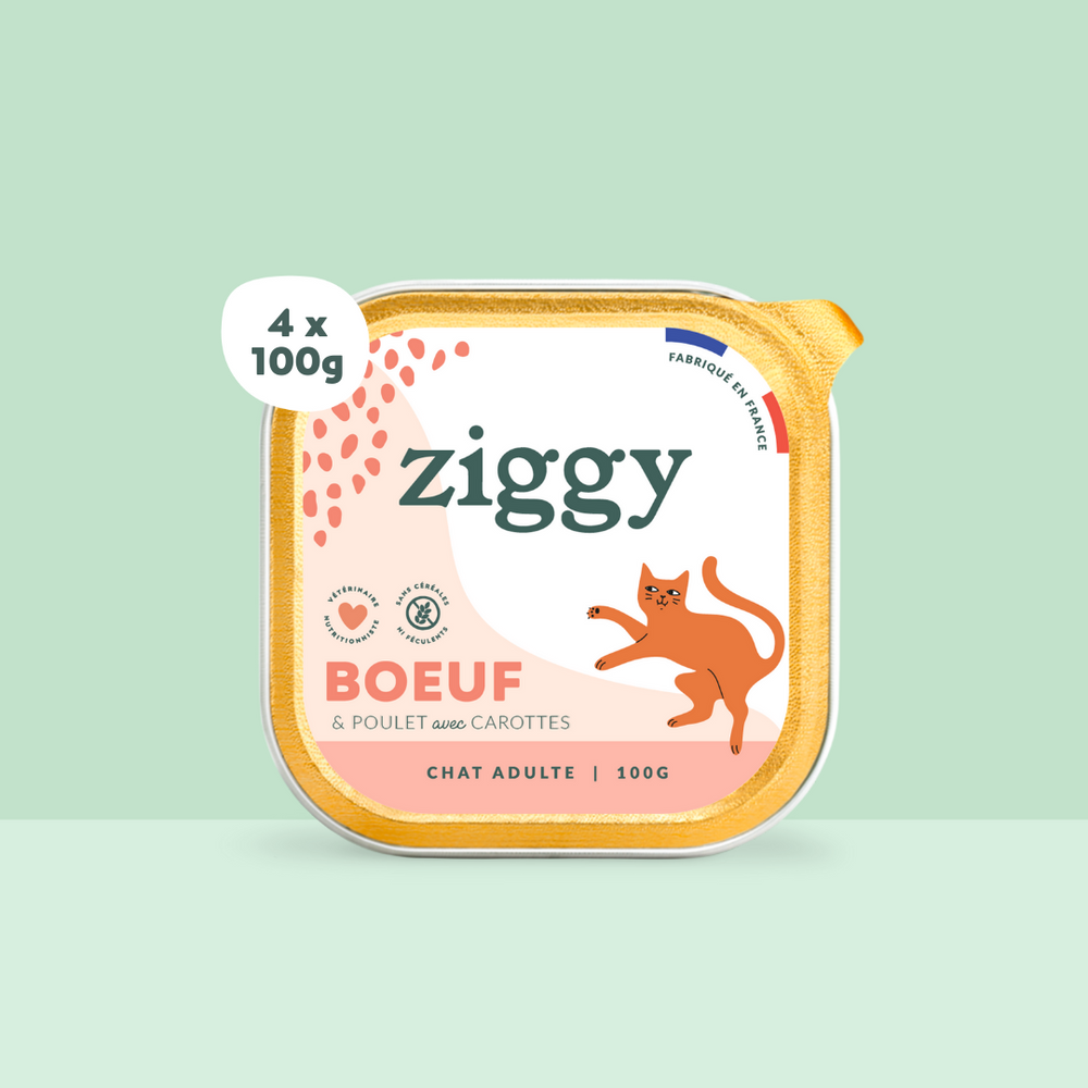 Boite de 4 pâtées Ziggy de 100g pour chat adulte entier au boeuf, saines et sans céréales