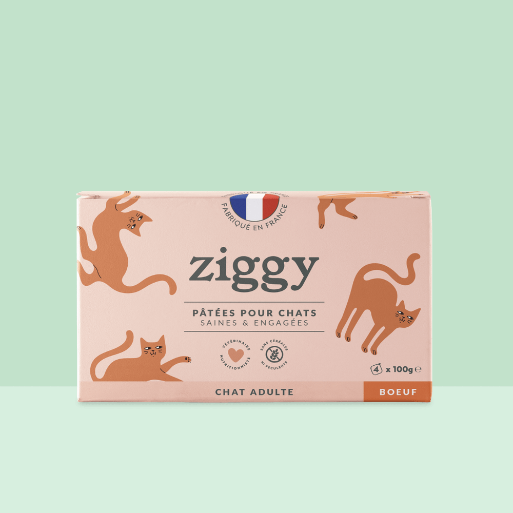 Boite de 4 pâtées Ziggy de 100g pour chat adulte entier au boeuf, saines et sans céréales