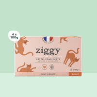 Boite de 4 pâtées Ziggy de 100g pour chat adulte entier au boeuf, saines et sans céréales