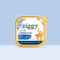 Barquette de 100g de pâtées Ziggy pour chat adulte stérilisé au poisson blanc, saines et sans céréales