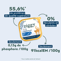 Ingrédients de la pâtée Ziggy pour chat adulte stérilisé au poisson blanc, saine et sans amidon