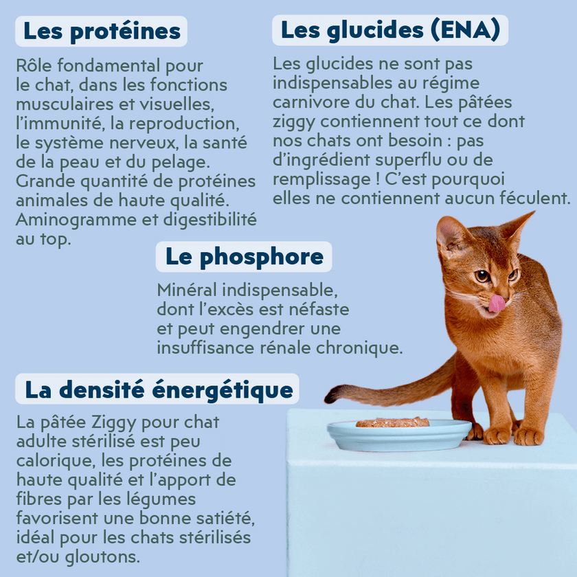 Composition de la pâtée Ziggy pour chat adulte stérilisé au poisson blanc, saine et sans amidon