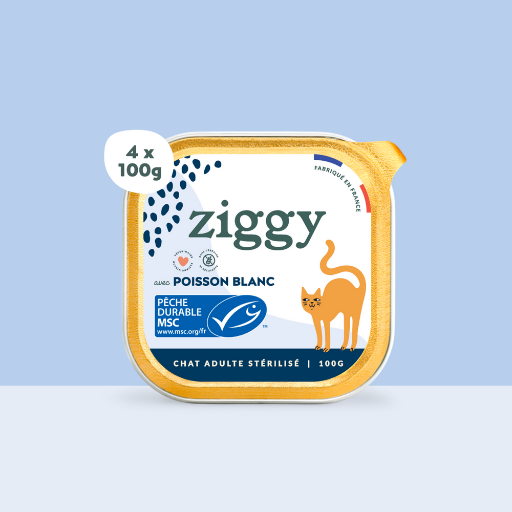 Boite de 4 pâtées Ziggy de 100g pour chat adulte stérilisé au poisson blanc, saines et sans céréales