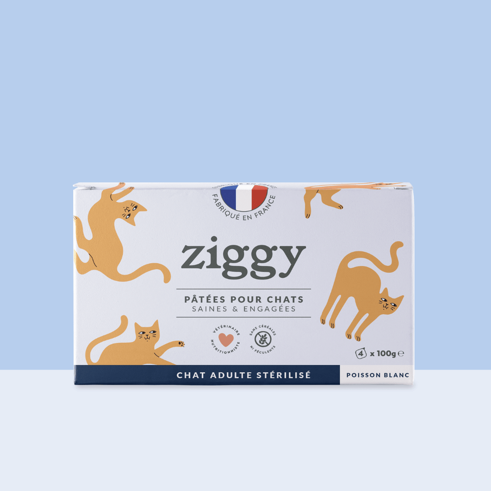 Boite de 4 pâtées Ziggy de 100g pour chat adulte stérilisé au poisson blanc, saines et sans céréales