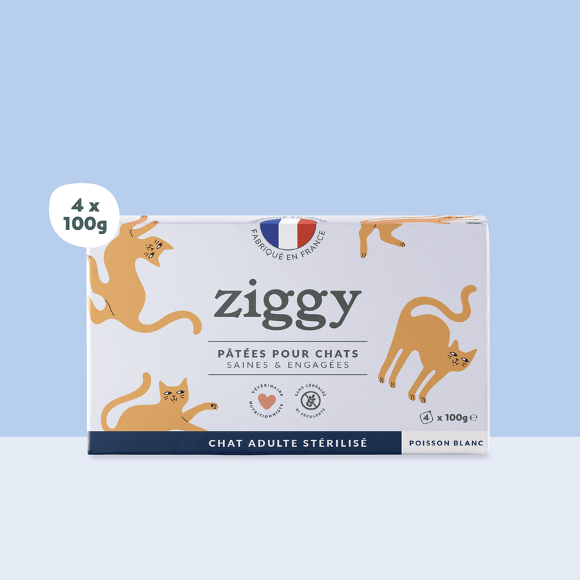 Boite de 4 pâtées Ziggy de 100g pour chat adulte stérilisé au poisson blanc, saines et sans céréales