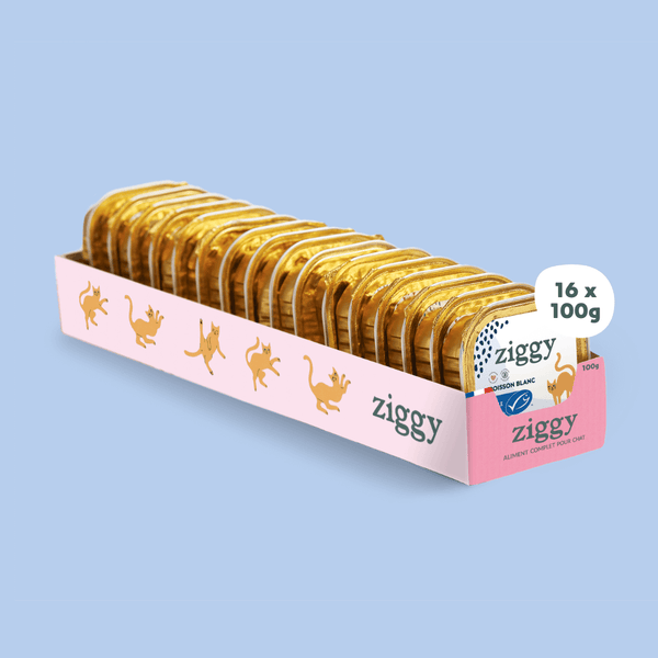 Barquette de 100g de pâtées Ziggy pour chat adulte stérilisé au poisson blanc, saines et sans céréales
