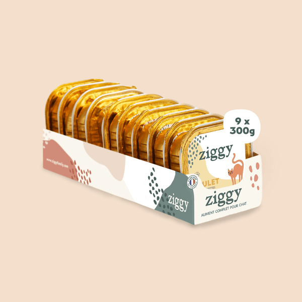 Barquette de pâtée pour chat adulte stérilisé de 300g au poulet de la marque d'alimentation pour chats et chatons saine et sans céréales Ziggy