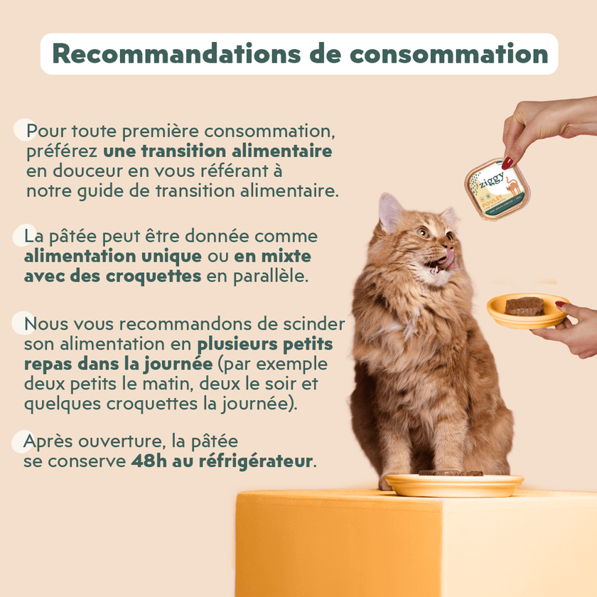 Recommandation de consommation de la pâtée pour chat adulte stérilisé au poulet Ziggy