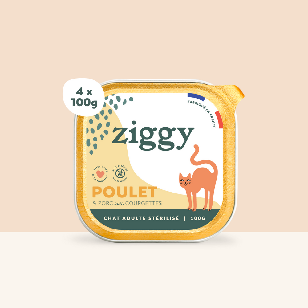 Boite de 4 pâtées Ziggy de 100g pour chat adulte stérilisé au poulet, saines et sans céréales