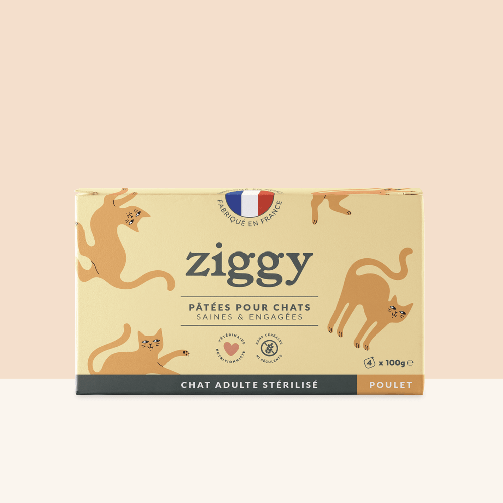 Boite de 4 pâtées Ziggy de 100g pour chat adulte stérilisé au poulet, saines et sans céréales