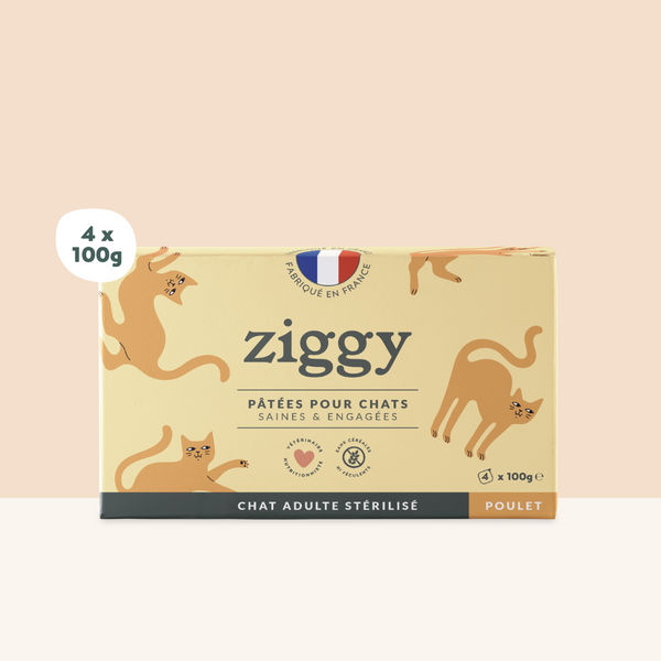 Barquette de pâtée pour chat adulte stérilisé de 300g au poulet de la marque d'alimentation pour chats et chatons saine et sans céréales Ziggy