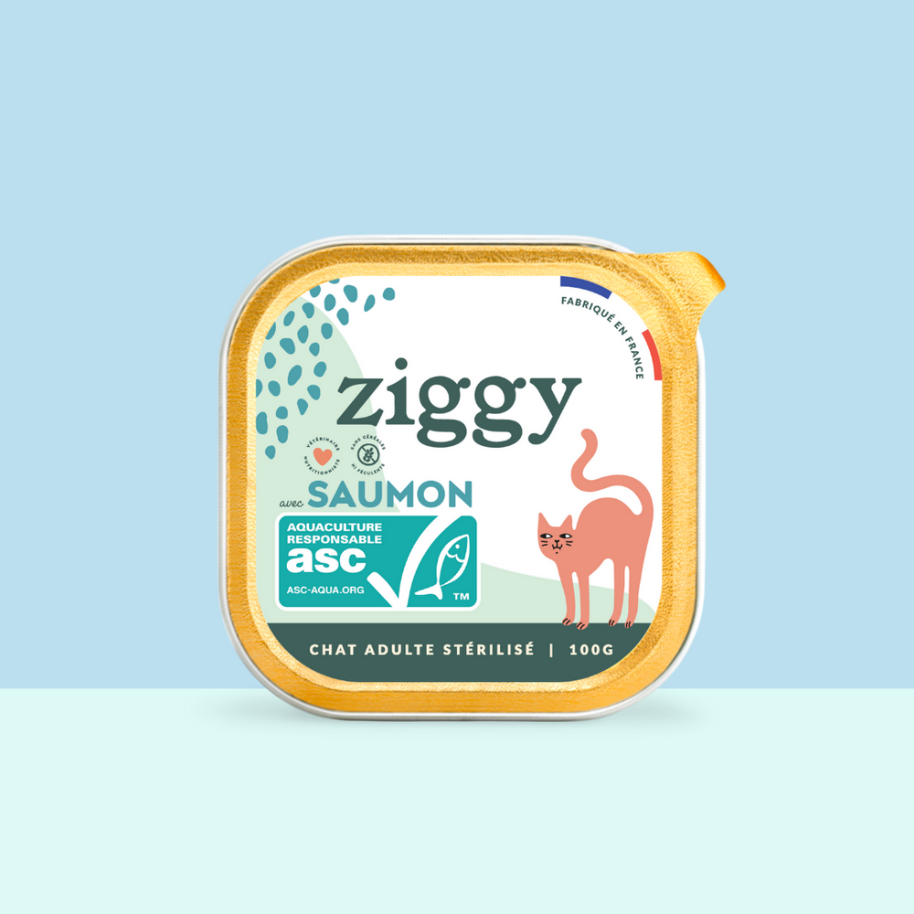 Barquette de 100g de pâtées Ziggy pour chat adulte stérilisé au saumon, saines et sans céréales