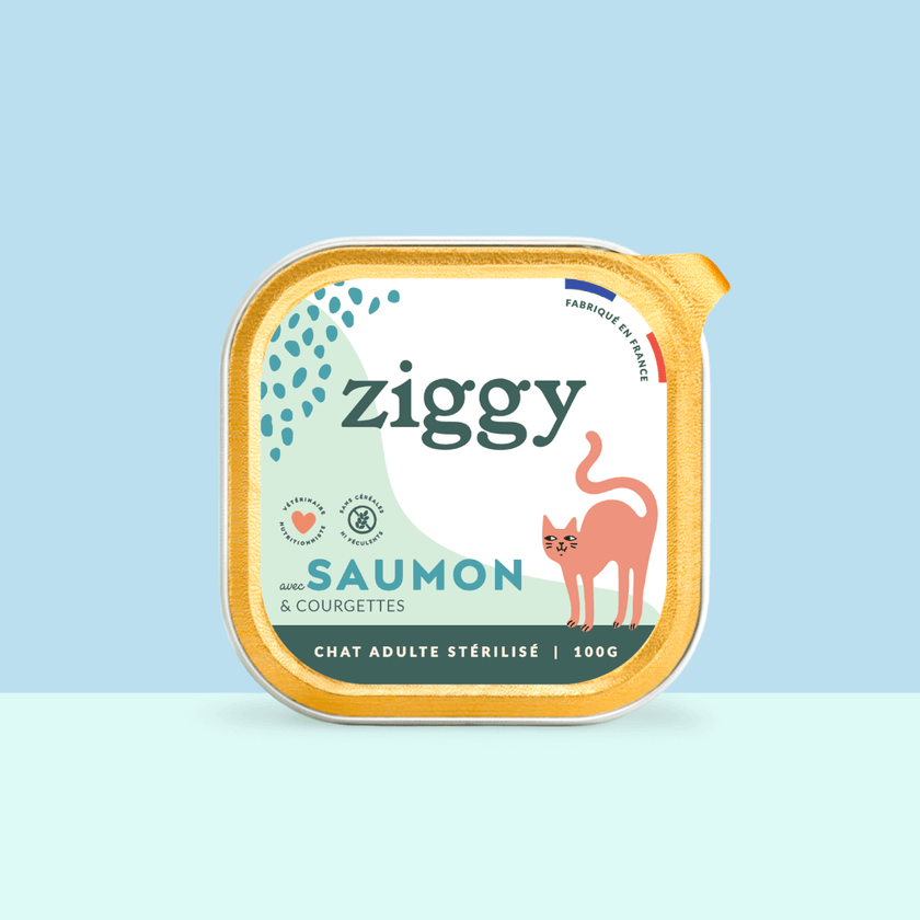 Barquette de 100g de pâtées Ziggy pour chat adulte stérilisé au saumon, saines et sans céréales