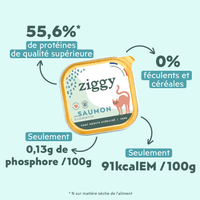 Ingrédients de la pâtée Ziggy pour chat adulte stérilisé au saumon, saine et sans amidon