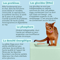 Composition analytique de la pâtée Ziggy pour chat adulte stérilisé au saumon, saine et sans amidon