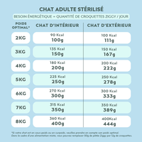 Quantité par jour à donner à son chat de la pâtée Ziggy pour chat adulte stérilisé au saumon, saine et sans amidon, en fonction de son besoin énergétique