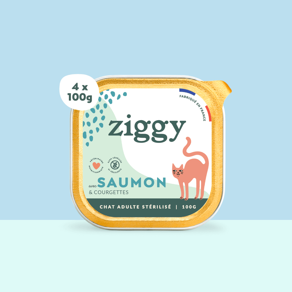 Boite de 4 pâtées Ziggy de 100g pour chat adulte stérilisé au saumon, saines et sans céréales