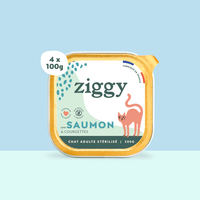 Barquette de 100g de pâtées Ziggy pour chat adulte stérilisé au saumon, saines et sans céréales