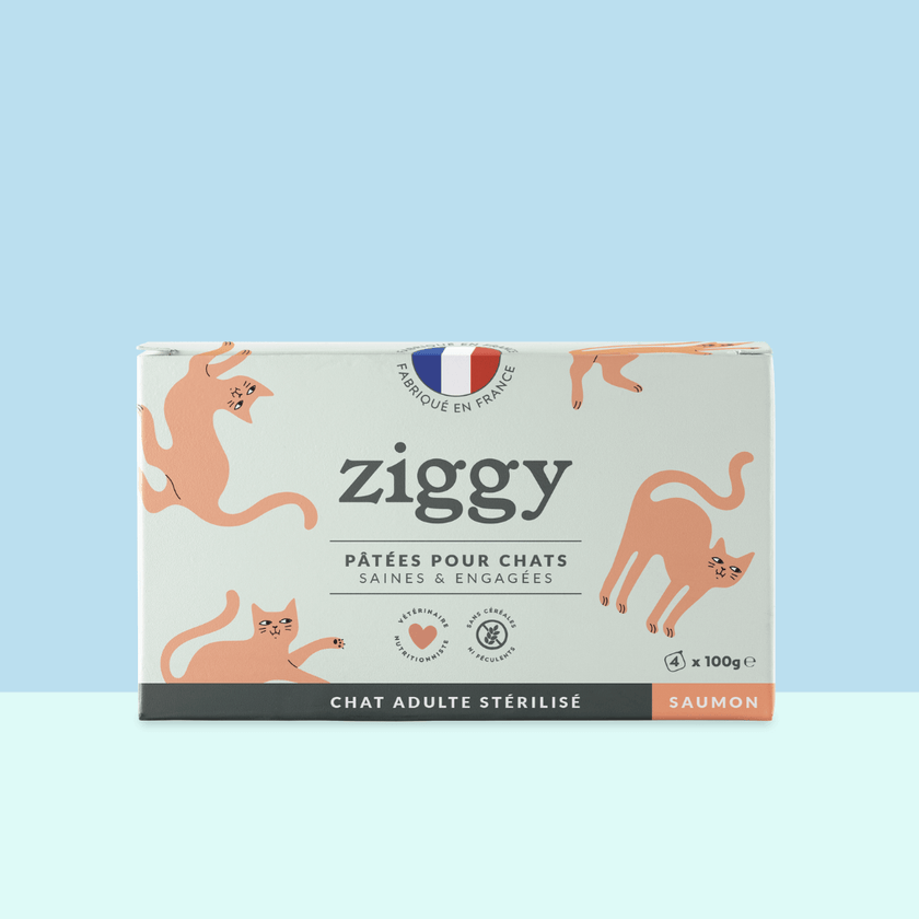 Boite de 4 pâtées Ziggy de 100g pour chat adulte stérilisé au saumon, saines et sans céréales