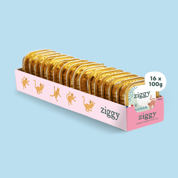 Barquette de 100g de pâtées Ziggy pour chat adulte stérilisé au saumon, saines et sans céréales