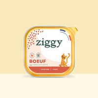 Barquette de 100g de pâtées Ziggy pour chaton au boeuf, saines et sans céréales