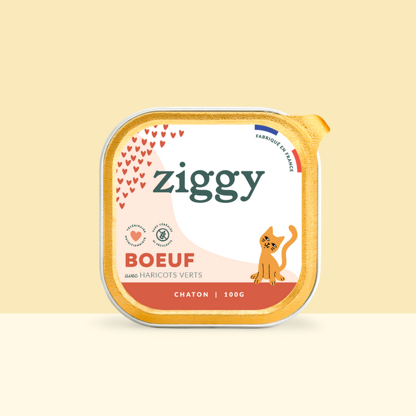 Barquette de 100g de pâtées Ziggy pour chaton au boeuf, saines et sans céréales