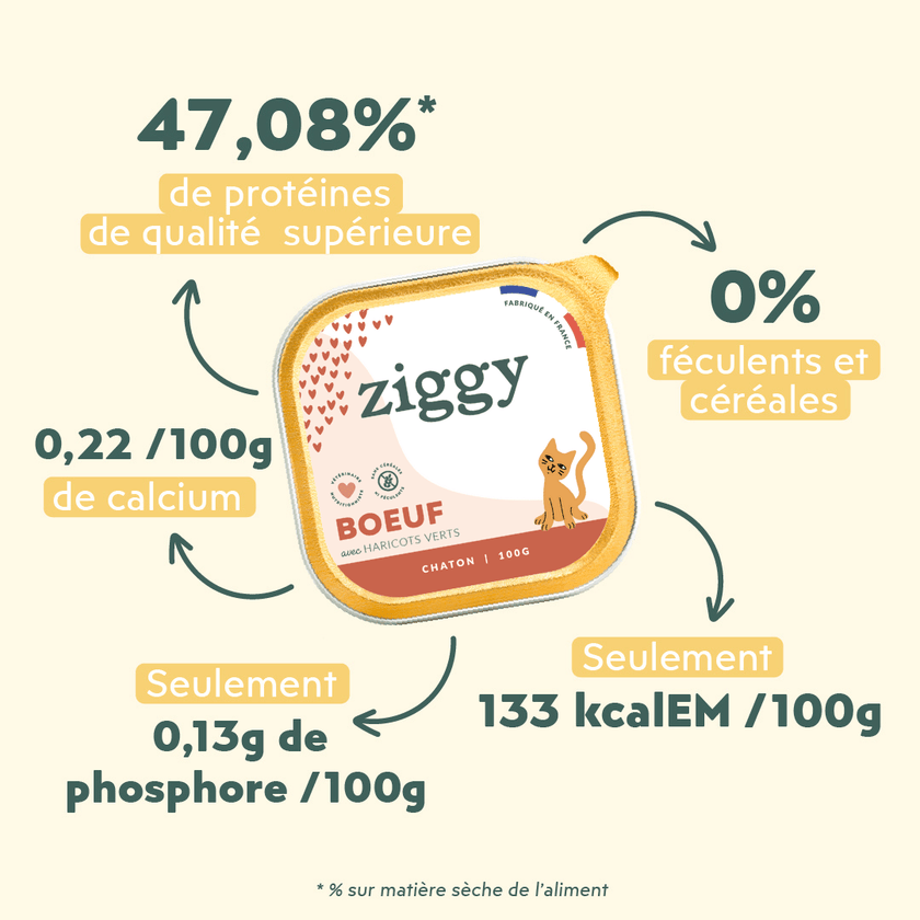 Composition de la pâtée pour chaton Ziggy au boeuf, saine et sans amidon