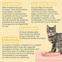 Composition analytique de la pâtée pour chaton Ziggy au boeuf, saine et sans amidon