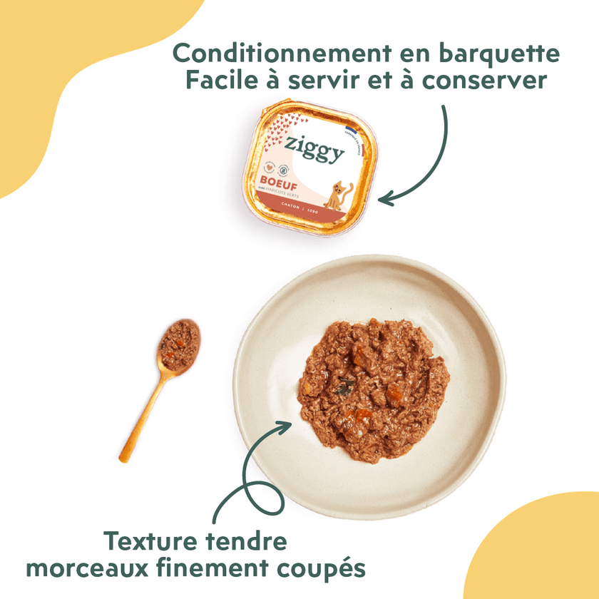 Texture et conditionnement de la pâtée pour chaton Ziggy au boeuf, saine et sans amidon