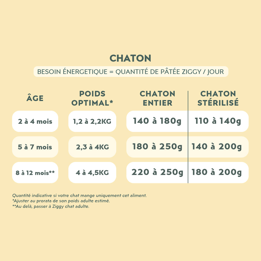 Quantité de pâtée Ziggy donner à un chaton en fonction de son besoin énergétique