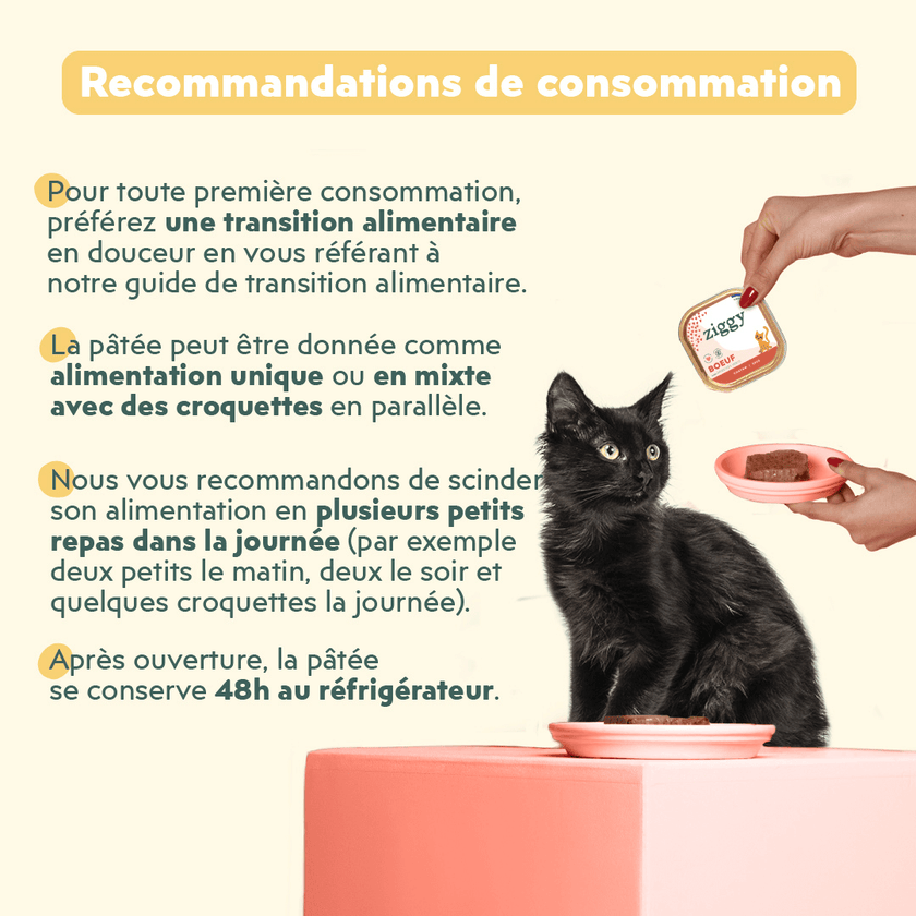 Recommandations de consommation de la pâtée pour chaton Ziggy au boeuf, saine et sans amidon