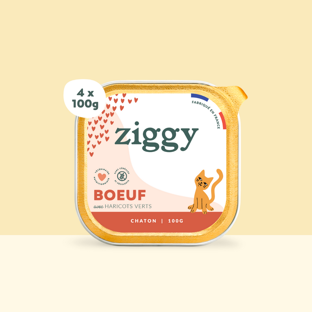 Boite de 4 pâtées Ziggy de 100g pour chaton au boeuf