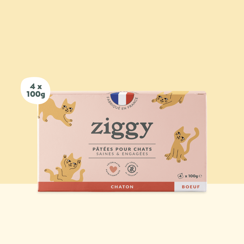 Boite de 4 pâtées Ziggy de 100g pour chaton au boeuf