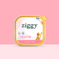 Barquette de 100g de pâtées Ziggy pour chaton à la truite, saines et sans céréales