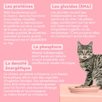 Composition analytique de la pâtée pour chaton Ziggy à la truite, saine et sans amidon