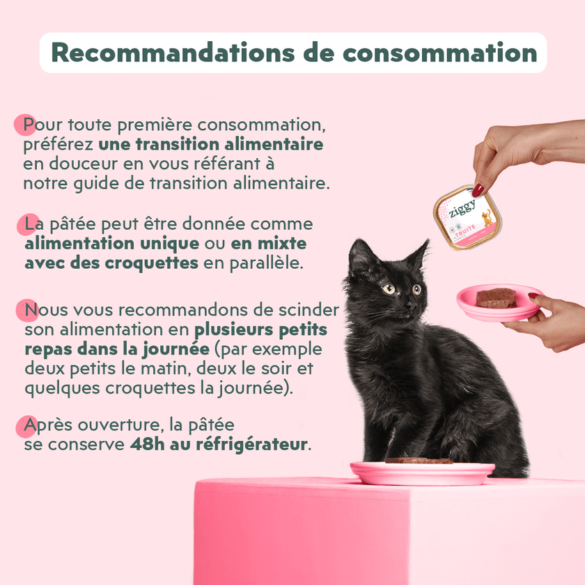 Recommandation de consommation de la pâtée pour chaton Ziggy à la truite, saine et sans amidon