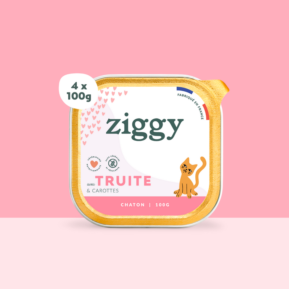 Boite de 4 pâtées Ziggy de 100g pour chaton à la truite