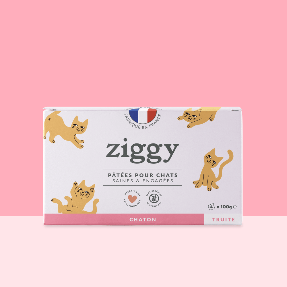 Boite de 4 pâtées Ziggy de 100g pour chaton à la truite