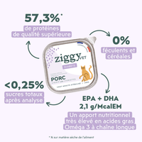 Ingrédients de la pâtée Ziggy Vet pour chat souffrant de diabète, saine et sans amidon