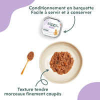 Conditionnement et texture de la pâtée Ziggy Vet pour chat souffrant de diabète, saine et sans amidon