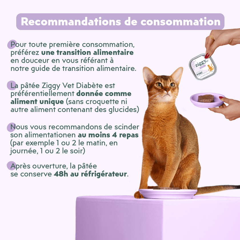 Recommandations de consommation de la pâtée Ziggy Vet pour chat souffrant de diabète, saine et sans amidon