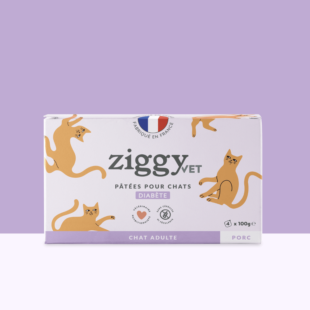 Boite de 4 pâtées Ziggy Vet de 100g pour chat adulte souffrant de diabète