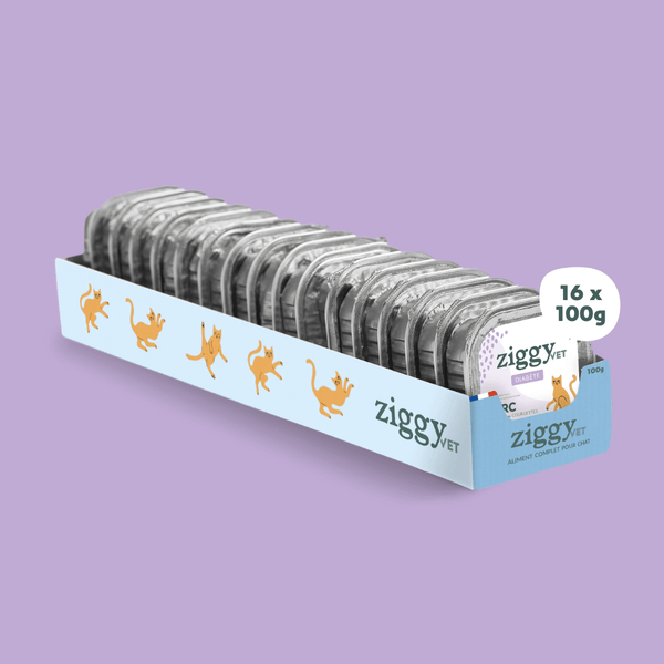 Barquette de 100g de pâtées Ziggy pour chat adulte souffrant de diabète, saines et sans céréales